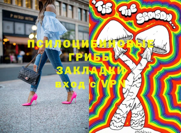 тгк Алзамай