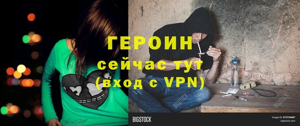 стафф Алексин