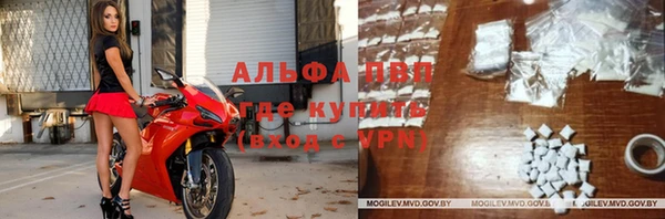 тгк Алзамай