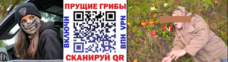 Псилоцибиновые грибы GOLDEN TEACHER  где можно купить   Мещовск 